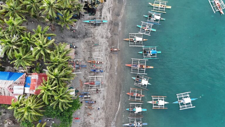 Aerial view of fishing boats anchored along a tropical shoreline with palm trees and clear blue water.
