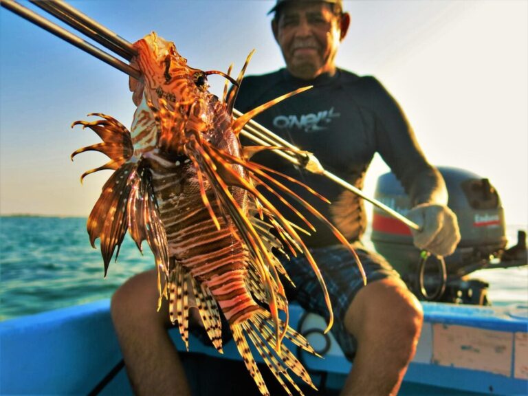 Diver on a boat holding a speared lionfish with ocean water and sunlight in the background